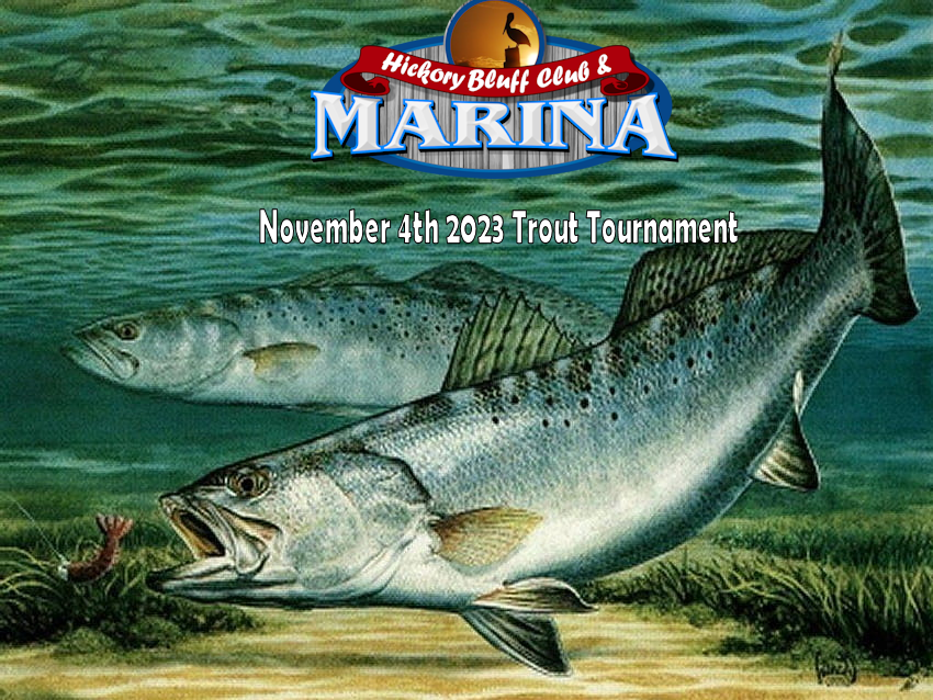 Trout Tournament - November 4th 2023